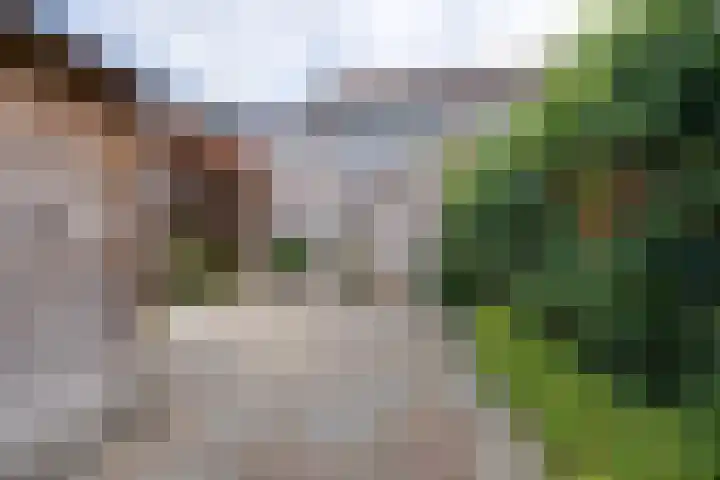 Standerdmolen 76 Edam thumbnail 34