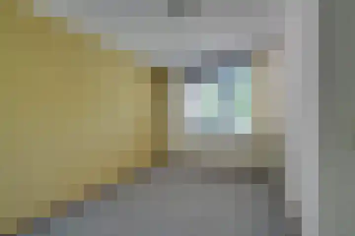 Standerdmolen 76 Edam thumbnail 42