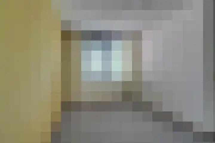 Standerdmolen 76 Edam thumbnail 43