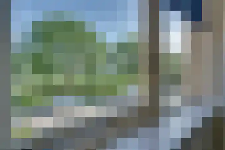 Standerdmolen 76 Edam thumbnail 44