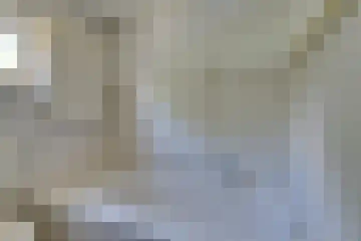 Standerdmolen 76 Edam thumbnail 47
