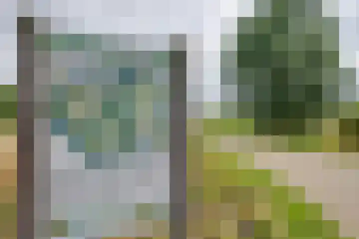 Standerdmolen 76 Edam thumbnail 57