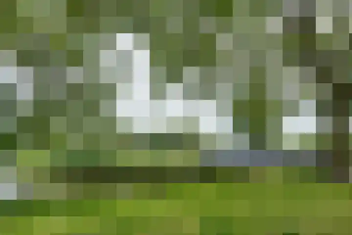 Standerdmolen 76 Edam thumbnail 58
