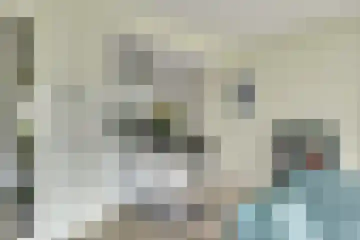Standerdmolen 8 a 003 Houten thumbnail 11
