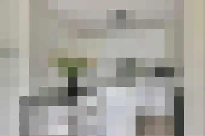 Standerdmolen 8 a 003 Houten thumbnail 12