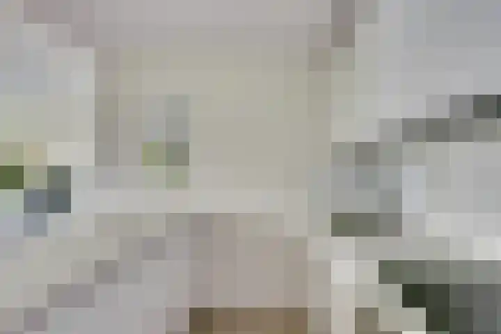 Standerdmolen 8 a 003 Houten thumbnail 14