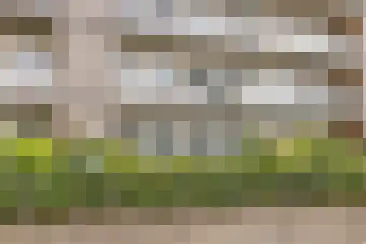 Standerdmolen 8 a 003 Houten thumbnail 24