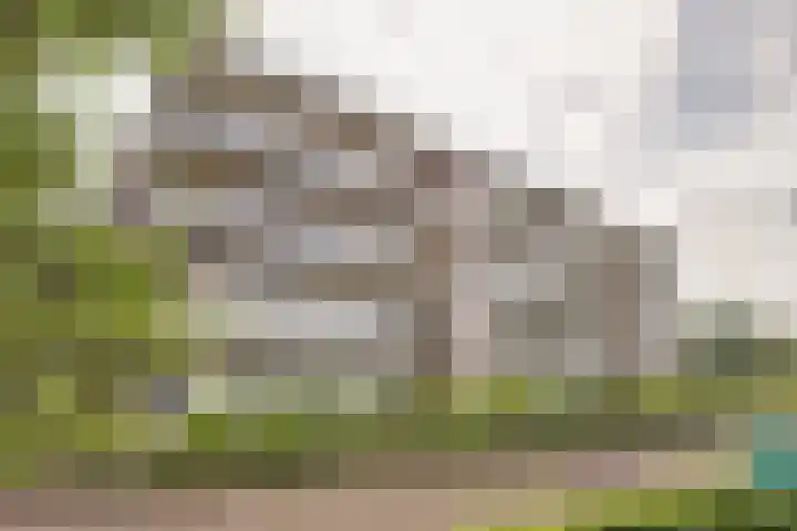 Standerdmolen 8 a 003 Houten thumbnail 25