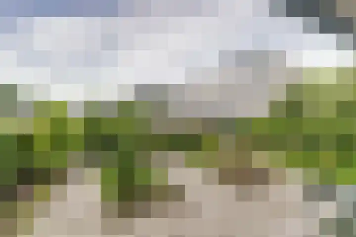Standerdmolen 8 a 003 Houten thumbnail 26