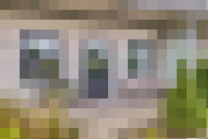 Standerdmolen 8 a 003 Houten thumbnail 28