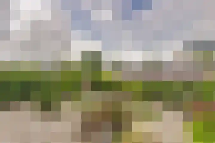 Standerdmolen 8 a 003 Houten thumbnail 29