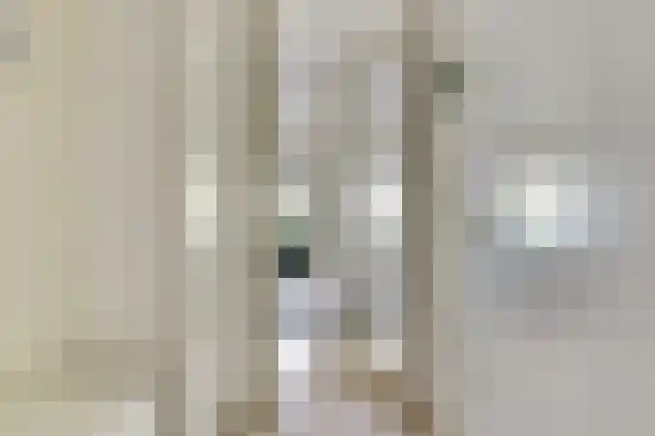 Standerdmolen 8 a 003 Houten thumbnail 4