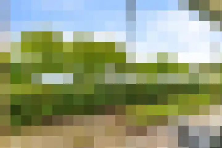 Standerdmolen 8 a 005 Houten thumbnail 26