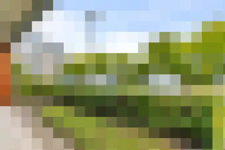 Standerdmolen 8 a 005 Houten thumbnail 27