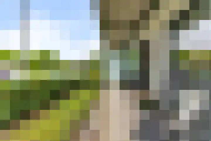 Standerdmolen 8 a 005 Houten thumbnail 28