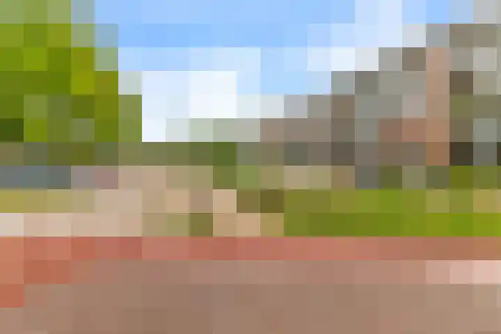 Standerdmolen 8 a 005 Houten thumbnail 30