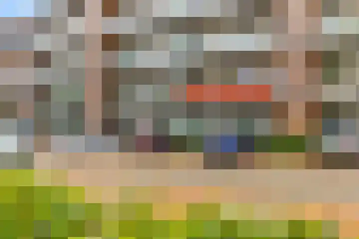Standerdmolen 8 a 005 Houten thumbnail 31