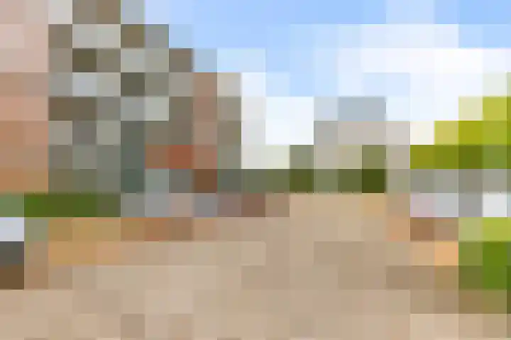 Standerdmolen 8 a 005 Houten thumbnail 32