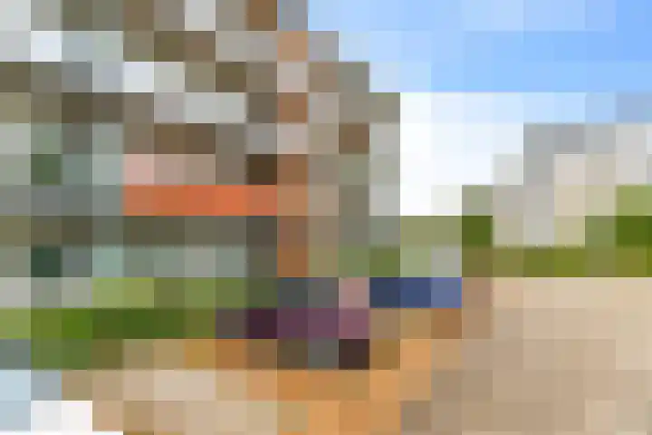 Standerdmolen 8 a 005 Houten thumbnail 34