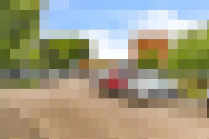 Standerdmolen 8 a 005 Houten thumbnail 35