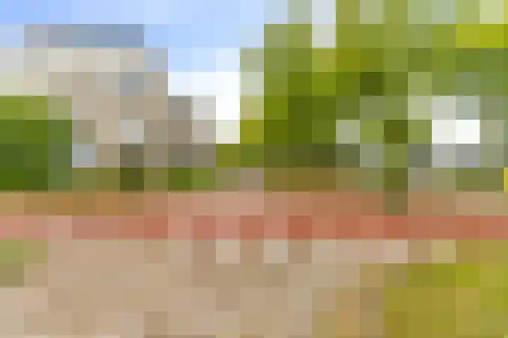 Standerdmolen 8 a 005 Houten thumbnail 37