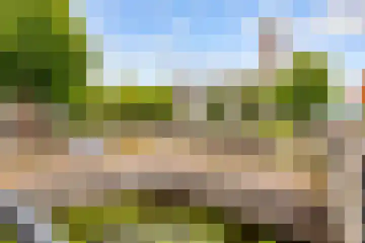 Standerdmolen 8 a 005 Houten thumbnail 38