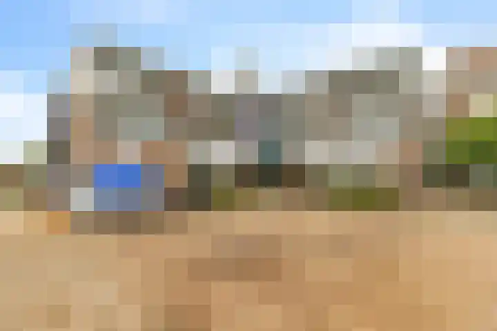 Standerdmolen 8 a 005 Houten thumbnail 4