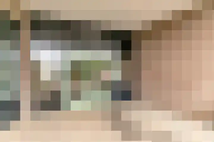 Standerdmolen 8 a 005 Houten thumbnail 5