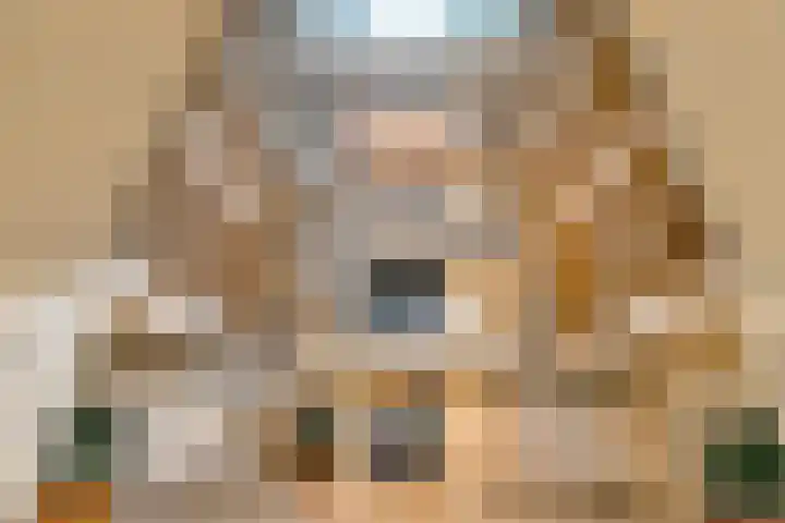 Standerdmolen 8 a 005 Houten thumbnail 7