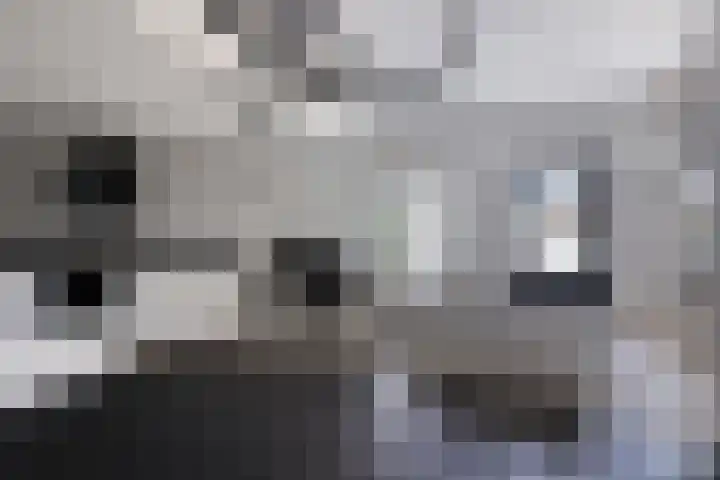 Standerdmolen 8 a 101 Houten thumbnail 10