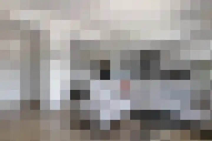 Standerdmolen 8 a 101 Houten thumbnail 14