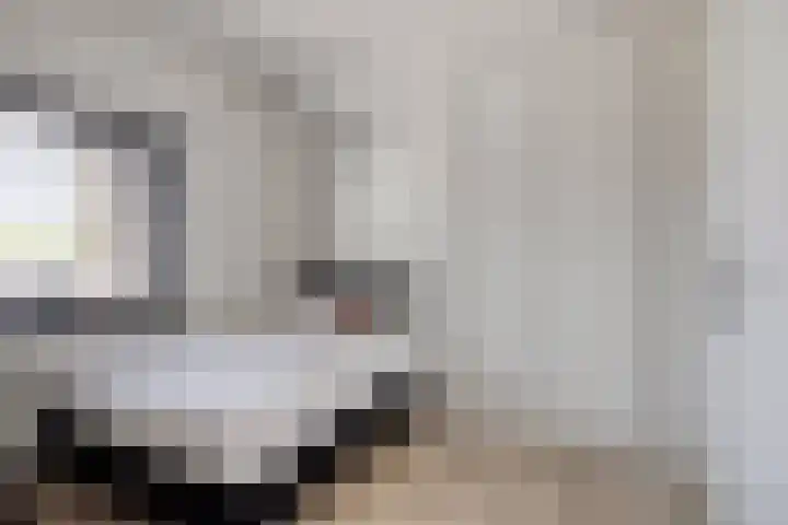 Standerdmolen 8 a 101 Houten thumbnail 19