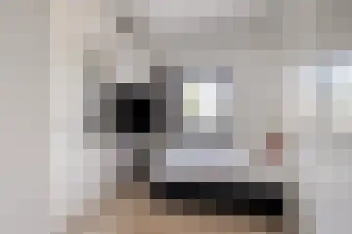 Standerdmolen 8 a 101 Houten thumbnail 20
