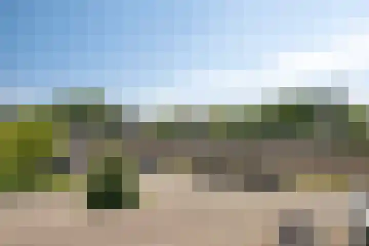 Standerdmolen 8 a 101 Houten thumbnail 34