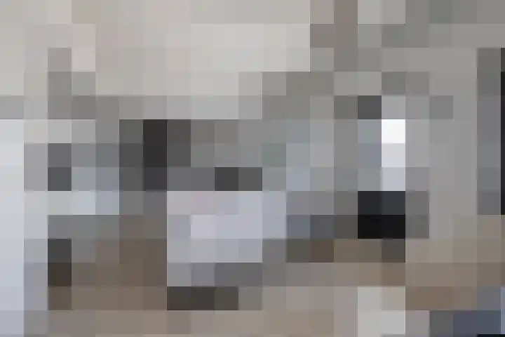 Standerdmolen 8 a 101 Houten thumbnail 6
