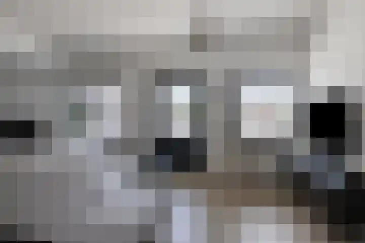 Standerdmolen 8 a 101 Houten thumbnail 7