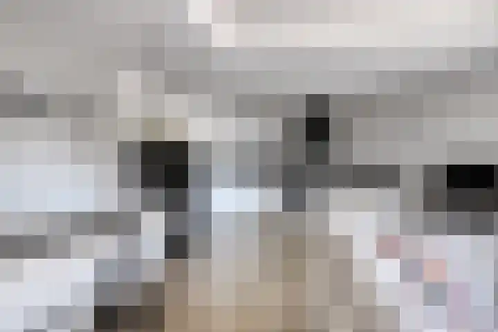 Standerdmolen 8 a 101 Houten thumbnail 8