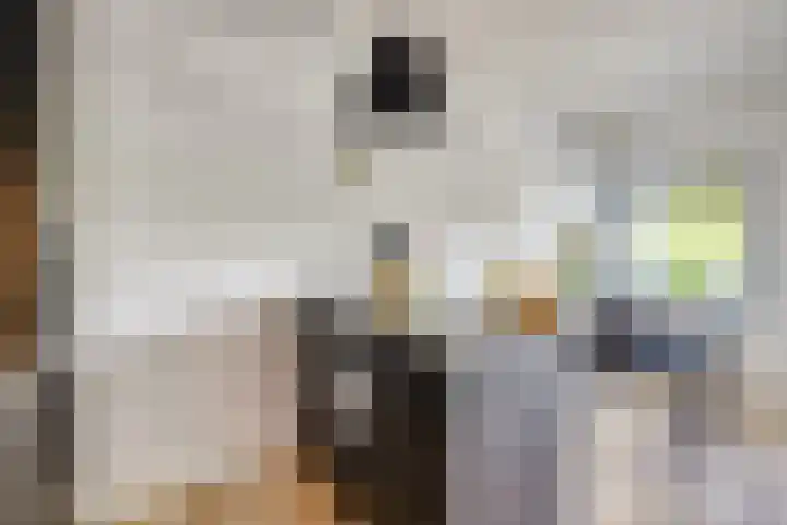 Standerdmolen 8 a 208 Houten thumbnail 15