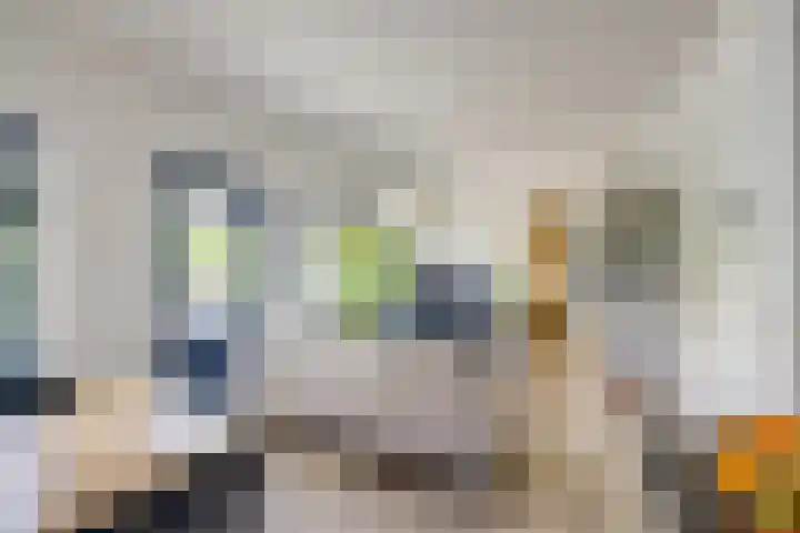 Standerdmolen 8 a 208 Houten thumbnail 16