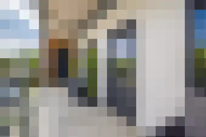Standerdmolen 8 a 208 Houten thumbnail 17