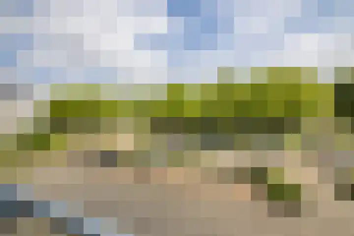 Standerdmolen 8 a 208 Houten thumbnail 18