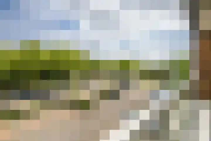 Standerdmolen 8 a 208 Houten thumbnail 19