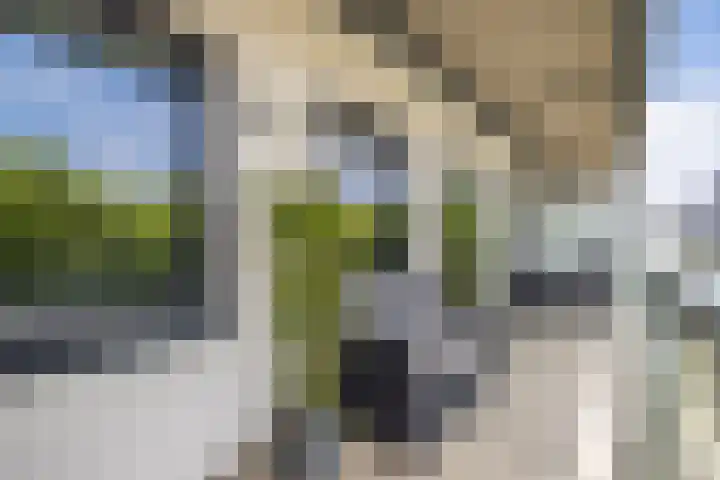 Standerdmolen 8 a 208 Houten thumbnail 20