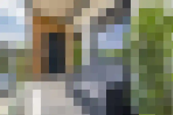 Standerdmolen 8 a 208 Houten thumbnail 21