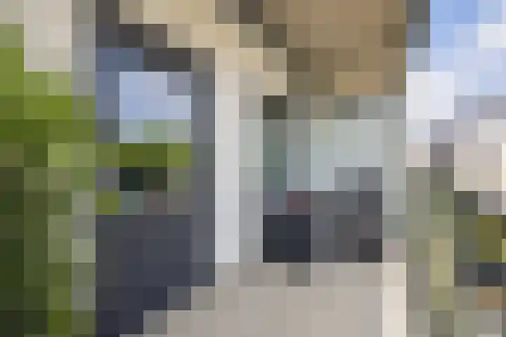 Standerdmolen 8 a 208 Houten thumbnail 22