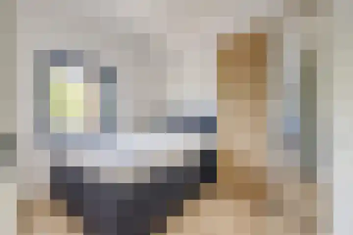Standerdmolen 8 a 208 Houten thumbnail 23
