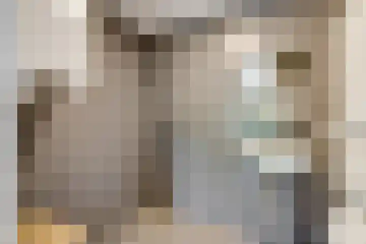 Standerdmolen 8 a 208 Houten thumbnail 26