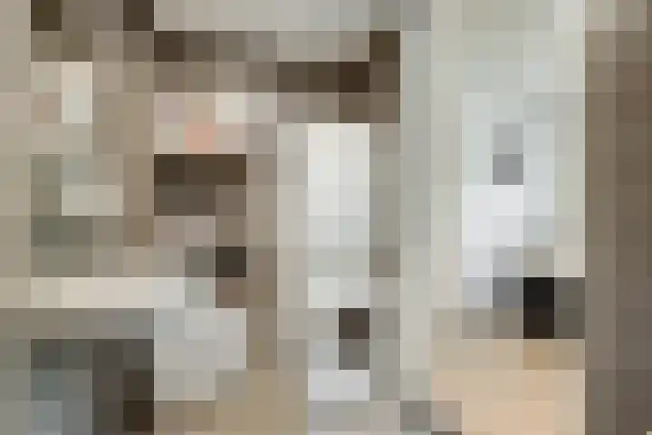 Standerdmolen 8 a 208 Houten thumbnail 27