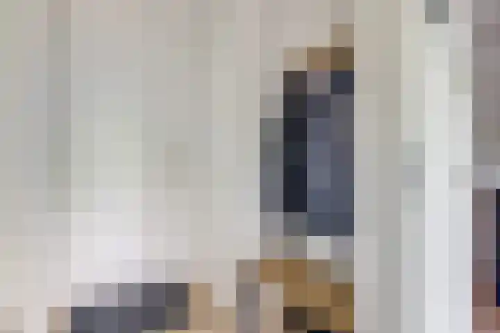 Standerdmolen 8 a 208 Houten thumbnail 28