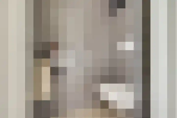 Standerdmolen 8 a 208 Houten thumbnail 29